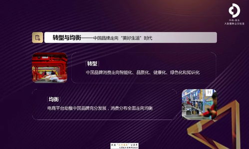 京東2018互聯網中國品牌發展報告 互聯網銷售的新紀元